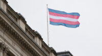 Transgender flag