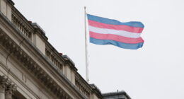 Transgender flag
