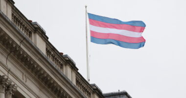 Transgender flag