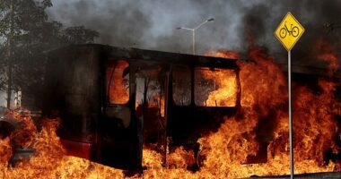 Chaos has erupted throughout the Mexican state of Jalisco, leaving some tourists stranded