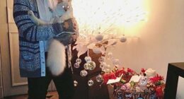 Karl Lagerfeld's cat Choupette (pictured together in 2016) was left $1.5million by the late designer who passed away in 2019 at the age of 85