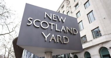 It is understood that the star, in their 50s, was interviewed at a police station in north London this afternoon