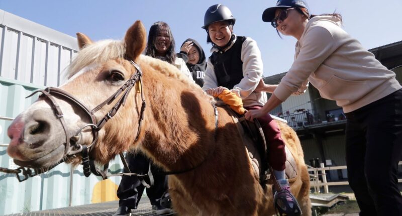 Children with disabilities find joy and support through horse therapy in Taiwan