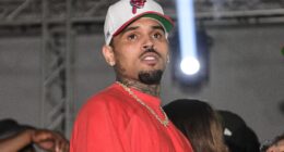 Chris Brown Reacts After TikToker Blasts Diamond Brown For Airing Out Their Co-Parenting Issues & Feuding With Jada Wallace Online