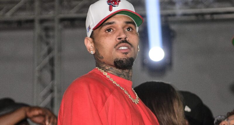 Chris Brown Reacts After TikToker Blasts Diamond Brown For Airing Out Their Co-Parenting Issues & Feuding With Jada Wallace Online