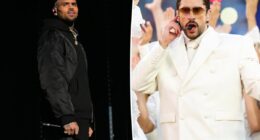 Chris Brown slams Bad Bunny's Super Bowl halftime show: 'They need me'