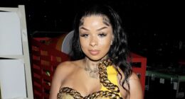 Oop! Chrisean Rock's Opponent For Super Middleweight Championship Boxing Match Revealed As Zenith Zion Along With SPICY Message (VIDEO)