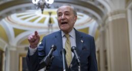 Chuck Schumer Steps in It When Asked About the Refusal to Stand for Americans During the SOTU – RedState