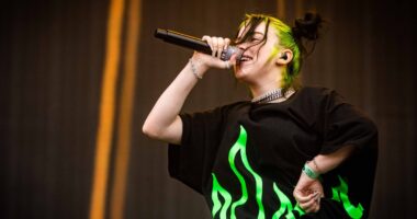 Citizen Journo Says Billie Eilish Stunt Led to Lengthy Interrogation When Entering U.S.