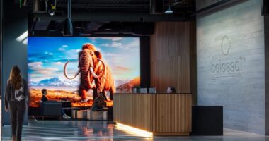 Colossal Woolly Mammoth ‘On Track for 2028’ as Perception Around De-Extinction Evolves