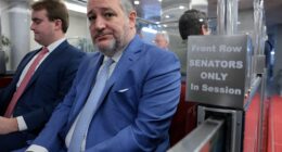 Senator Ted Cruz told donors that he expects Newsmax CEO Chris Ruddy to back his 2028 presidential bid, the Daily Mail can reveal, handing the Texan a significant conservative megaphone in his likely challenge to Vice President JD Vance. The disclosure comes as Ruddy is scheduled to testify before Cruz's SenateCommittee on Commerce, Science and Transportation on Tuesday for a hearing titled 'We Interrupt This Program: Media Ownership and the Digital Age.' Ruddy has publicly opposed a Federal Communications Commission rule change that would raise the cap on local television station ownership. That would allow a merger between Nexstar, the parent company of NewsNation, and Tenga, which owns 64 local television stations in 51 U.S. markets, to proceed.