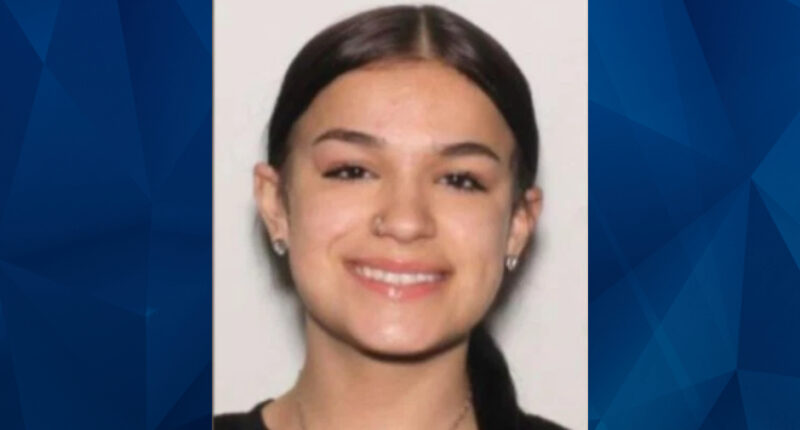 Cops Searching for Endangered 17-Year-Old Girl, Missing Since Monday