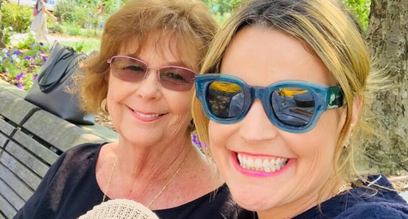 Cops search septic tank behind Nancy Guthrie's home as investigation turns grim