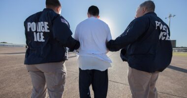 D.C. Circuit Greenlights IRS Policy Aimed At Boosting Deportations