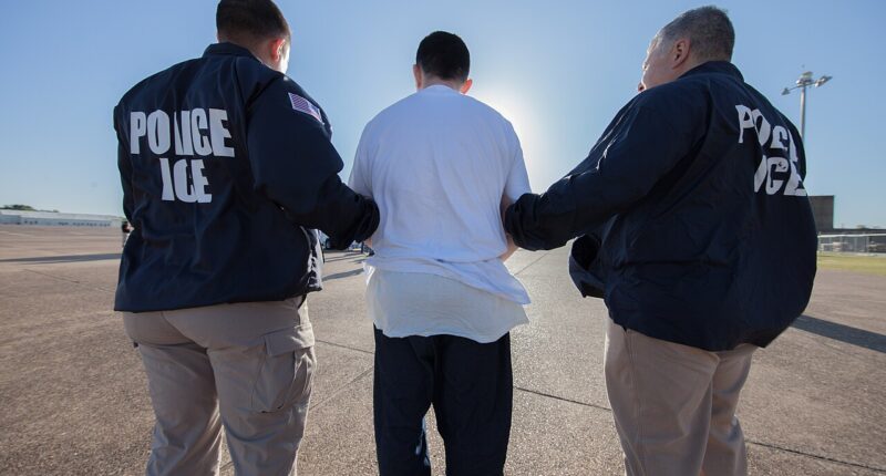 D.C. Circuit Greenlights IRS Policy Aimed At Boosting Deportations