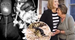 DNA recovered from glove linked to Nancy Guthrie suspect in bombshell discovery