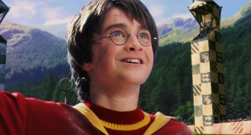 Daniel Radcliffe Weighs Whether HBO’s Harry Potter Series Or The Films Are Best For His Son