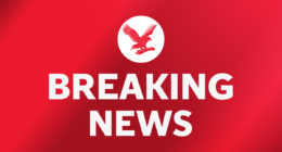 Danone recalls more batches of baby formula over toxin poisoning fears