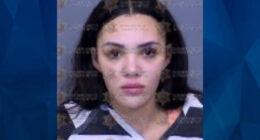 Daughter Stabs Mother Nearly 20 Times, Says She Did It to Herself