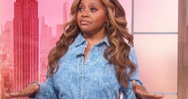 Debmar-Mercury 'never supported' canceled Sherri Shepherd show claim insiders, staffers devastated