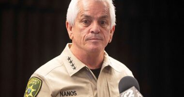 Pima County Sheriff Chris Nanos said digital forensic experts are attempting to recover additional video from cameras at Nancy Guthrie’s home