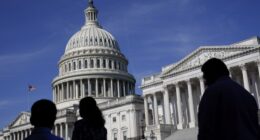 Democrats' State of the Union 'Counterprogramming' Promises to Be a Clown Show – RedState