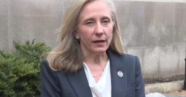 Dems Rig Virginia Vote With Misleading Ballot Language