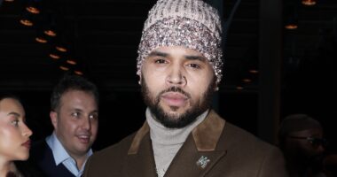 Oop! Some Social Media Users Speculate If Diamond Brown May Have Revealed The Gender Of Chris Brown's Alleged "Baby On The Way"
