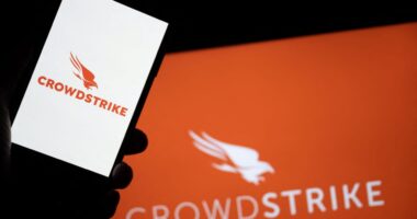Did a blog post just cause software stocks to lose more than $200 billion in market cap?