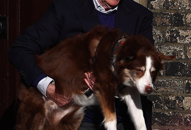 The BBC suppressed a Newsnight investigation into Peter Mandelson’s alleged links to Moscow after the former Cabinet Minister placed pressure on the corporation, the journalist working on the story has claimed. Pictured: Mandelson leaving his house on February 14, 2026