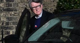 Disgraced Peter Mandelson breaks cover for first time since fresh Epstein revelations
