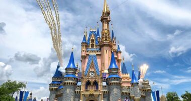 Disney World has permanently closed one of its beloved attraction after nearly 30 years... and fans have declared that the theme park will 'never be the same' (stock image)