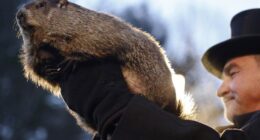 Don't Drive Angry! – RedState