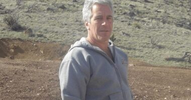 Epstein took his own life on August 10, 2019 at the Metropolitan Correction Center in New York while awaiting trial on sex trafficking charges, but conspiracy theories are growing