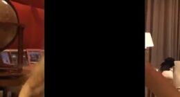 Footage believed to have been filmed by Jeffrey Epstein shows women performing private dances for him inside his palatial Paris home