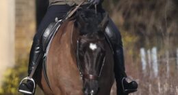 Andrew Mountbatten-Windsor waves to members of the public as he is seen horse riding in Windsor on Saturday morning