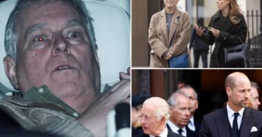 Ex-Prince Andrew has dragged the royal family into dark shadows