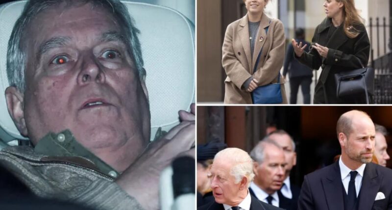 Ex-Prince Andrew has dragged the royal family into dark shadows