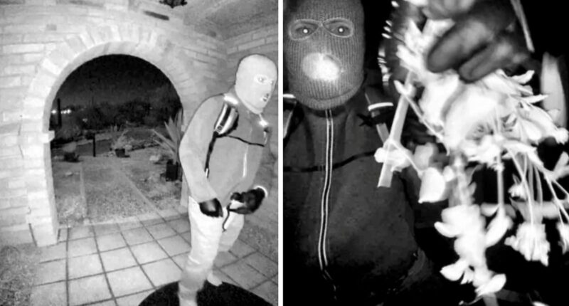 FBI releases new details on suspect in Nancy Guthrie’s disappearance