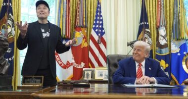 Federal Employment at Lowest Point Since LBJ Era As DOGE Reductions Take Hold – RedState