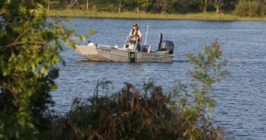 Florida Shows Minneapolis How to Work With ICE After Angling Violations – RedState