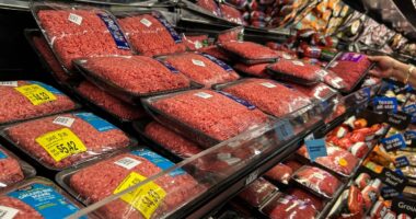 Food Lion recalls ground beef over ‘black rubber plastic’ contamination