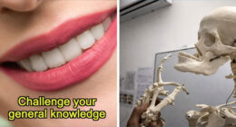 From Einstein To SpongeBob – Type The Right Answers To 35 General Knowledge Questions