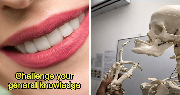 From Einstein To SpongeBob – Type The Right Answers To 35 General Knowledge Questions