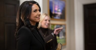 Gabbard Providing Oversight Isn't 'Dangerous To Our Democracy'