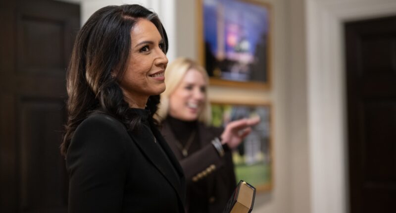 Gabbard Providing Oversight Isn't 'Dangerous To Our Democracy'