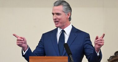 Gavin Newsom vs California's Progressive Idiots – HotAir