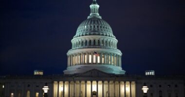 Georgia Man Runs Toward US Capitol with Loaded Shotgun – HotAir