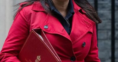 News of the Axel Springer bid broke just hours after Lisa Nandy, the Culture Secretary, gave permission for RedBird IMI, the owners of The Telegraph, to sell security over its newspaper to DMGT for £500million - the same amount offered by the Springer consortium