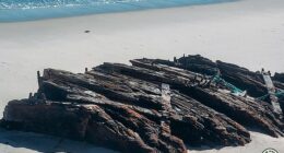 Ghost ship wreck emerges off the coast of popular beach